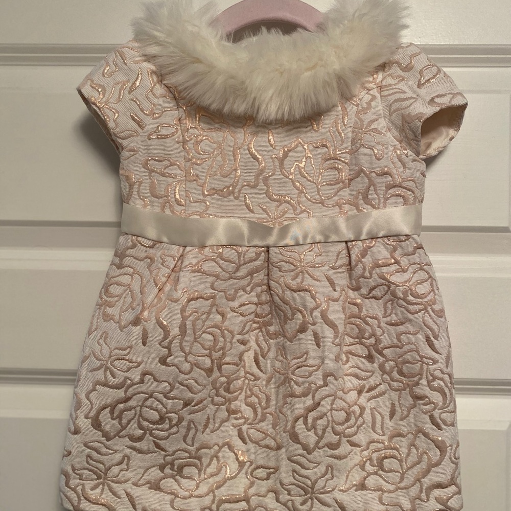 Janie & Jack Fur Collar Dress sz 12-18 month